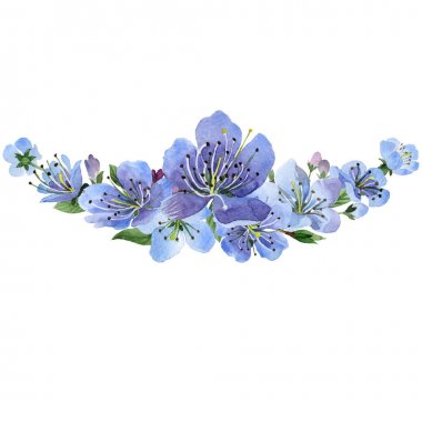 Kır çiçeği kiraz çiçek çerçeve izole bir suluboya tarzında.