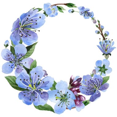 Kır çiçeği kiraz çiçek çerçeve izole bir suluboya tarzında.