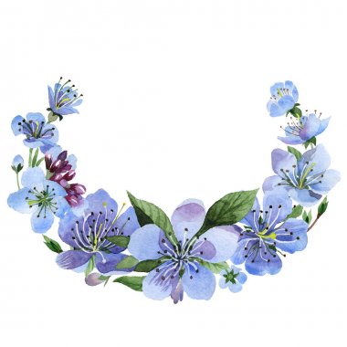 Kır çiçeği kiraz çiçek çerçeve izole bir suluboya tarzında.