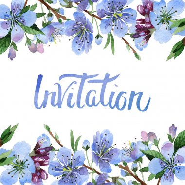 Kır çiçeği kiraz çiçek çerçeve izole bir suluboya tarzında.