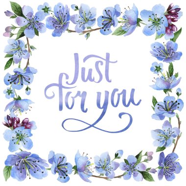 Kır çiçeği kiraz çiçek çerçeve izole bir suluboya tarzında.