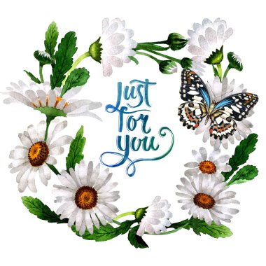 Kır çiçeği papatya çiçek çerçeve izole bir suluboya tarzında.