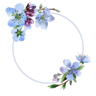 Kır çiçeği kiraz çiçek çerçeve izole bir suluboya tarzında.