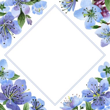 Kır çiçeği kiraz çiçek çerçeve izole bir suluboya tarzında.