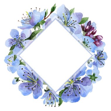 Kır çiçeği kiraz çiçek çerçeve izole bir suluboya tarzında.