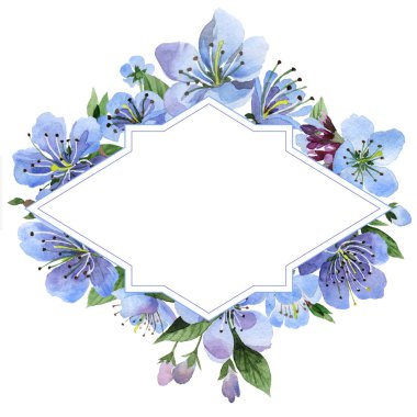 Kır çiçeği kiraz çiçek çerçeve izole bir suluboya tarzında.