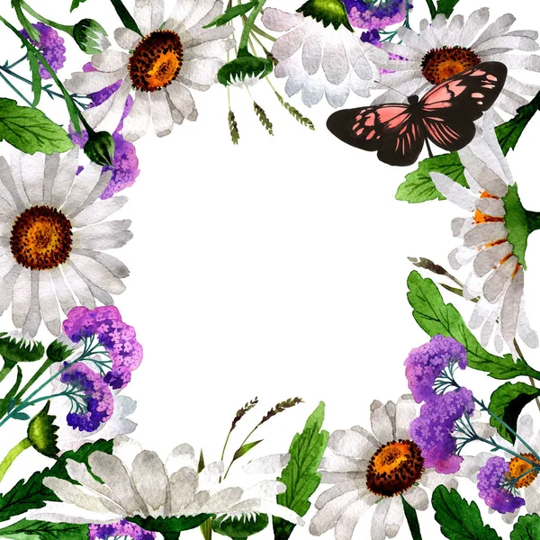 Moldura de flor de camomila Wildflower em um estilo aquarela isolado . — Fotografia de Stock