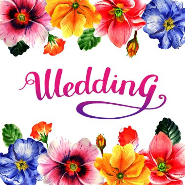 Kır çiçeği çuha çiçeği çiçek çerçeve izole bir suluboya tarzında.