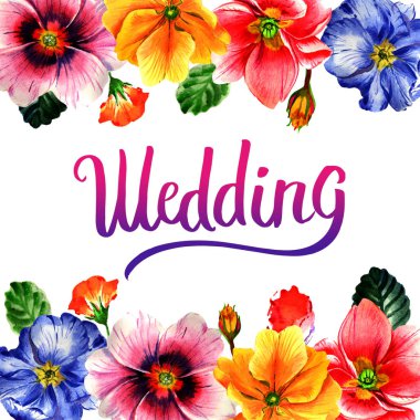 Kır çiçeği çuha çiçeği çiçek çerçeve izole bir suluboya tarzında.