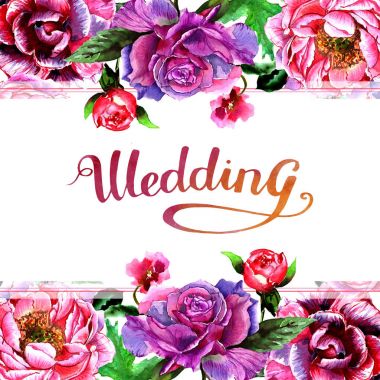 Kır çiçeği Şakayık çiçeği çerçeve izole bir suluboya tarzında.