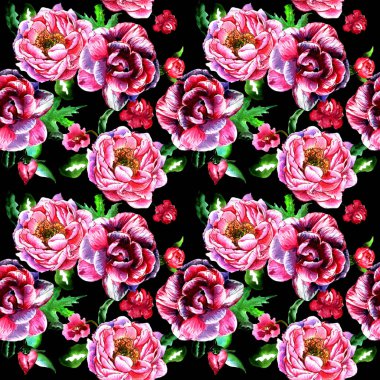 Kır çiçeği peony çiçek deseni izole bir suluboya tarzında.