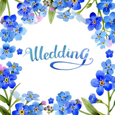 Kır çiçeği myosotis arvensis çiçek çerçeve izole bir suluboya tarzında.