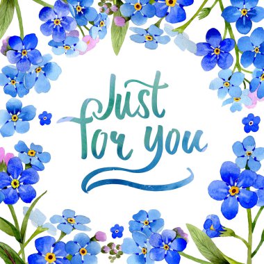 Kır çiçeği myosotis arvensis çiçek çerçeve izole bir suluboya tarzında.