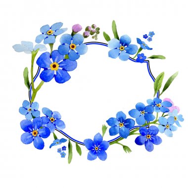 Kır çiçeği myosotis arvensis çiçek çelenk izole bir suluboya tarzında.