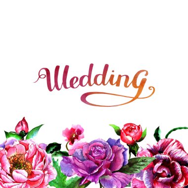 Kır çiçeği Şakayık çiçeği çerçeve izole bir suluboya tarzında.