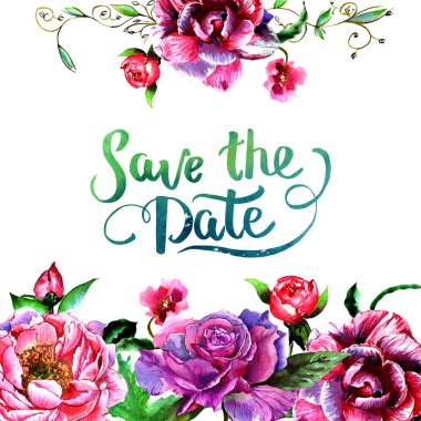 Kır çiçeği Şakayık çiçeği çerçeve izole bir suluboya tarzında.