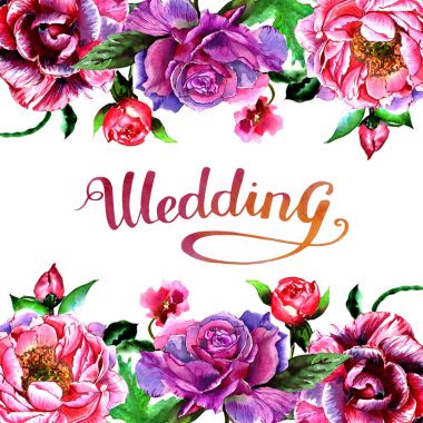 Kır çiçeği Şakayık çiçeği çerçeve izole bir suluboya tarzında.