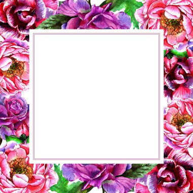 Kır çiçeği Şakayık çiçeği çerçeve izole bir suluboya tarzında.