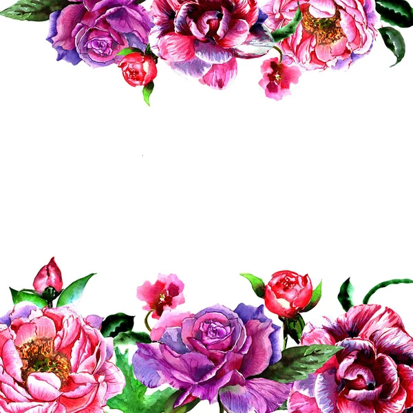Дика квіткова рамка півонії в акварельному стилі ізольована . — стокове фото