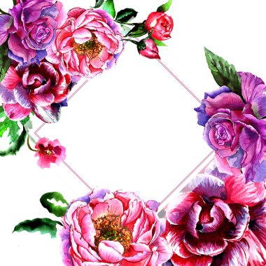 Kır çiçeği Şakayık çiçeği çerçeve izole bir suluboya tarzında.