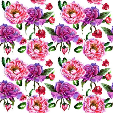 Kır çiçeği peony çiçek deseni izole bir suluboya tarzında.