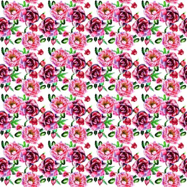 Kır çiçeği peony çiçek deseni izole bir suluboya tarzında.