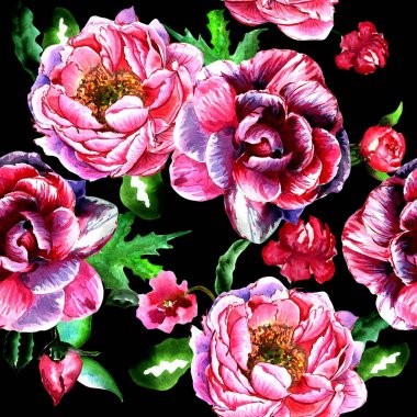 Kır çiçeği peony çiçek deseni izole bir suluboya tarzında.