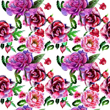 Kır çiçeği peony çiçek deseni izole bir suluboya tarzında.