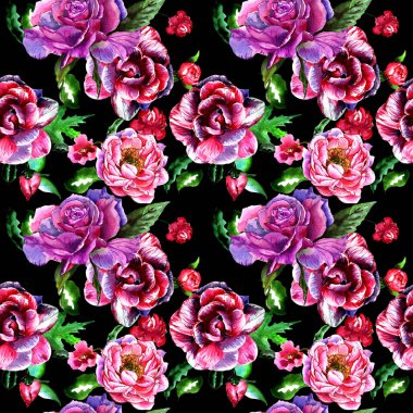 Kır çiçeği peony çiçek deseni izole bir suluboya tarzında.