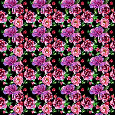 Kır çiçeği peony çiçek deseni izole bir suluboya tarzında.