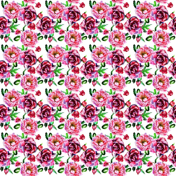 Wildflower peony flower pattern in a watercolor style isolated. — Stock Photo, Image