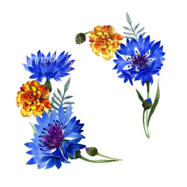 Kır çiçeği karanfil çiçek çerçeve izole bir suluboya tarzında.