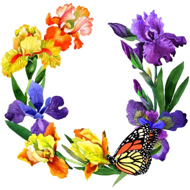 Kır çiçeği Iris çiçek çerçeve izole bir suluboya tarzında.