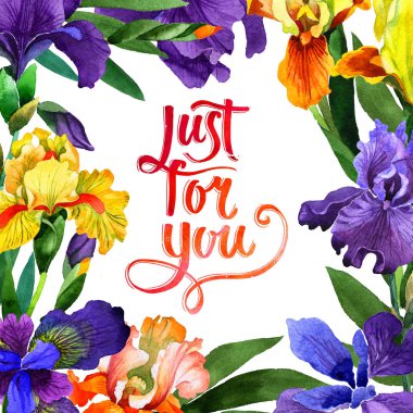 Kır çiçeği Iris çiçek çerçeve izole bir suluboya tarzında.