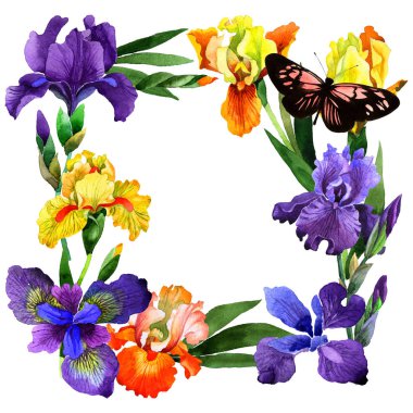 Kır çiçeği Iris çiçek çerçeve izole bir suluboya tarzında.