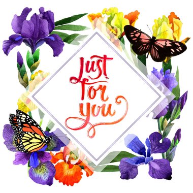 Kır çiçeği Iris çiçek çerçeve izole bir suluboya tarzında.