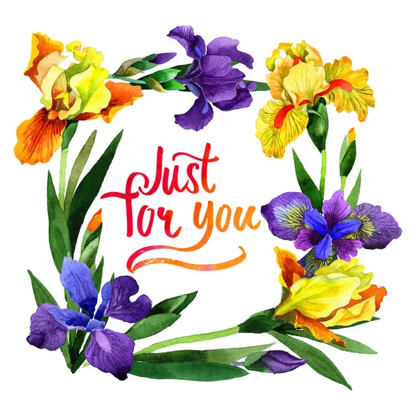 Wildflower iris květiny rámec ve stylu akvarelu, samostatný. — Stock fotografie