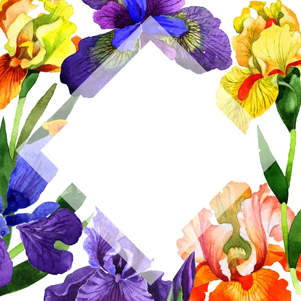 Wildflower iris flower frame in a watercolor style isolated. — Stock Photo, Image