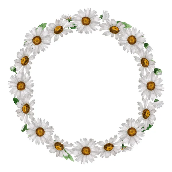 Corona de flores de manzanilla de flores silvestres en un estilo de acuarela aislado . —  Fotos de Stock