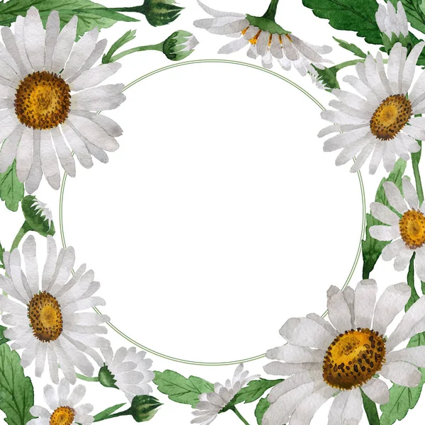 Wildflower chamomile flower frame in a watercolor style isolated.