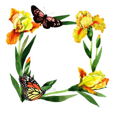 Kır çiçeği Iris çiçek çerçeve izole bir suluboya tarzında.