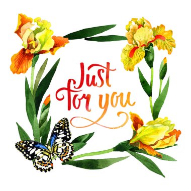 Kır çiçeği Iris çiçek çerçeve izole bir suluboya tarzında.