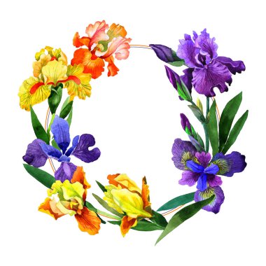 Kır çiçeği Iris çiçek çerçeve izole bir suluboya tarzında.