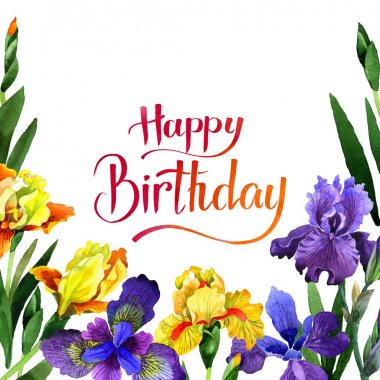 Kır çiçeği Iris çiçek çerçeve izole bir suluboya tarzında.