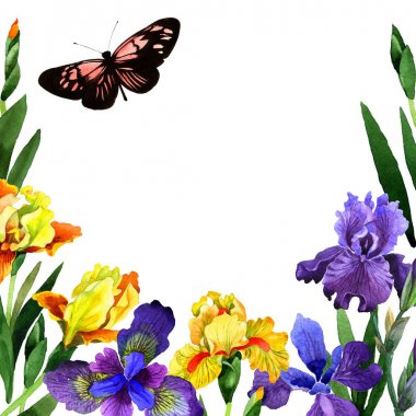 Kır çiçeği Iris çiçek çerçeve izole bir suluboya tarzında.