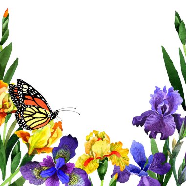 Kır çiçeği Iris çiçek çerçeve izole bir suluboya tarzında.