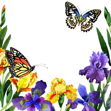 Kır çiçeği Iris çiçek çerçeve izole bir suluboya tarzında.