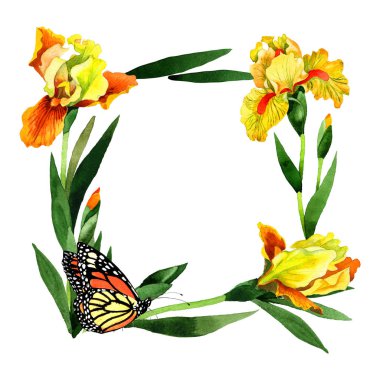 Kır çiçeği Iris çiçek çerçeve izole bir suluboya tarzında.