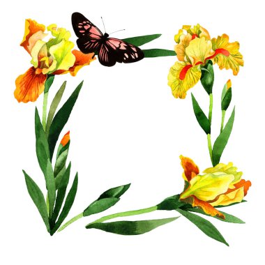Kır çiçeği Iris çiçek çerçeve izole bir suluboya tarzında.