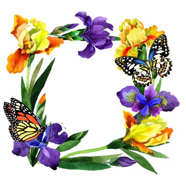 Kır çiçeği Iris çiçek çerçeve izole bir suluboya tarzında.